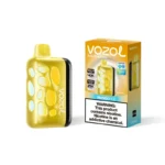 VOZOL RAVE 40k